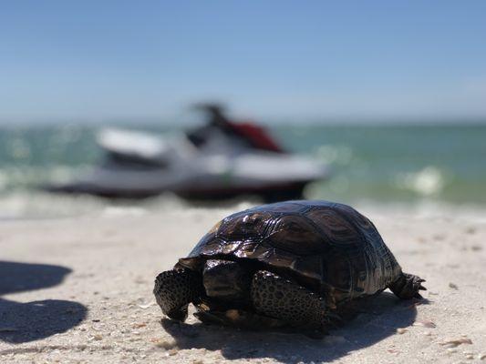 Jet Ski Island Excursions