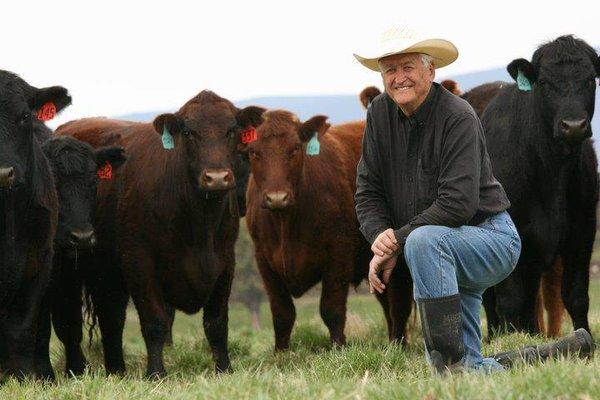 Doc Novy and humanely raised cattle