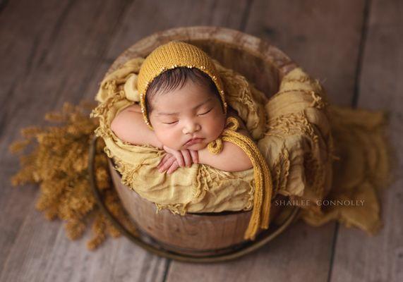 Newborn portraits