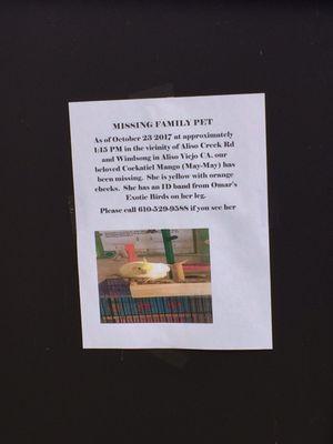 Please help find their pet.