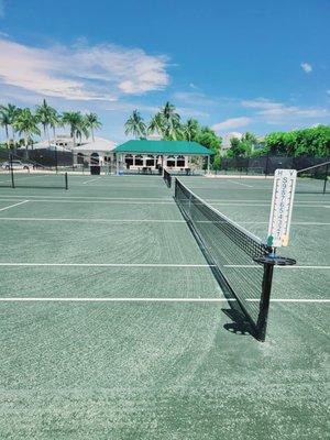 Har Tru clay tennis courts at Tarpon Cove club