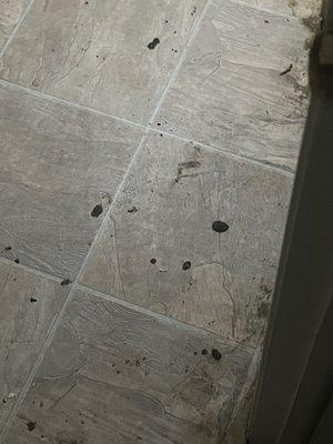 Bathroom floor