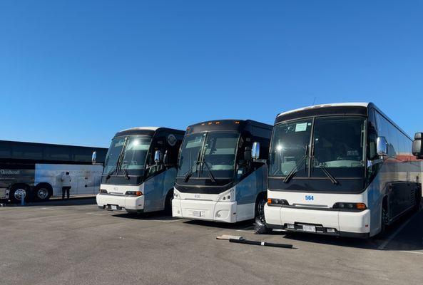 Fleet Bus Wrap Vinyl Installation 9 Buses In 36 Hours