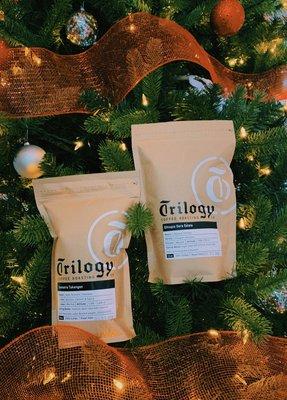 All of our coffee beans come from a roster in DeLand called Trilogy