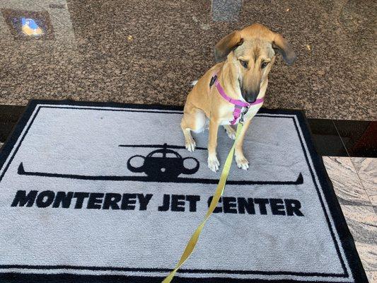 Entrance is dog-approved