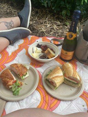 Picnic in the park deal: wine, summer tapas, and 2 sandwiches!