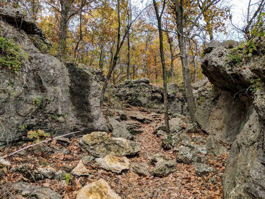 Views on the trail