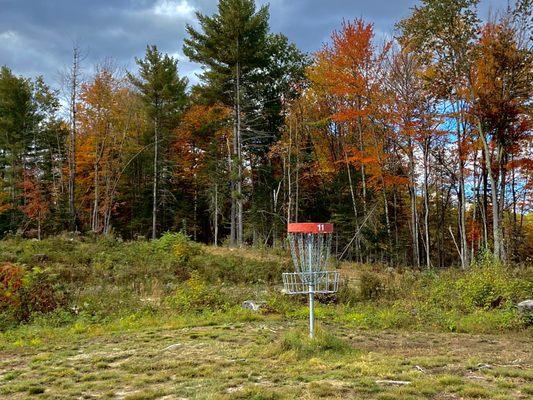 Disc golf course had amazing views