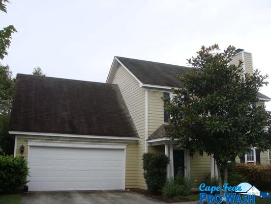 Wilmington NC roof cleaning before