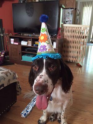 Birthday hat