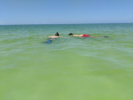 Snorkeling to see what beauty lies beneath the water