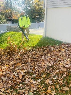 Hands On Landscaping Yard Clean Up