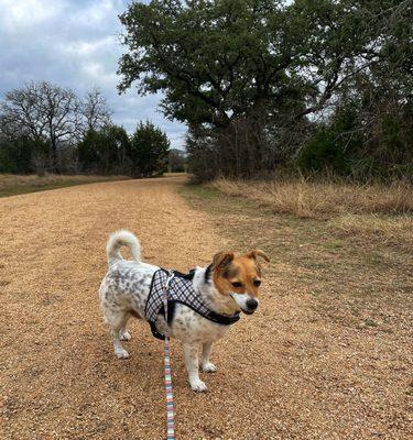 Circle C Park ~ Austin, Texas