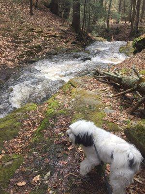 Small falls along the way