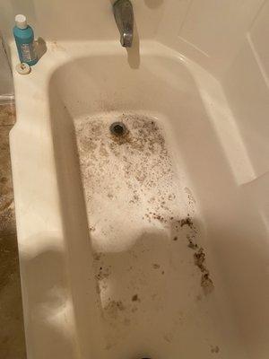 There was not any poop in the tub before they came. It wasn't draining but this is horrible!!