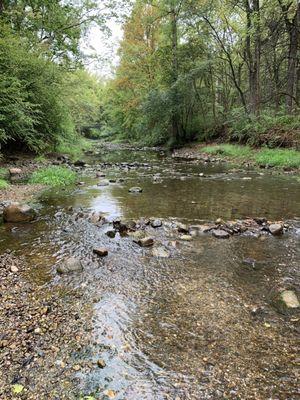 The creek along the head of the trail.