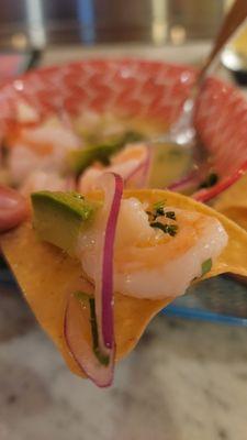 shrimp ceviche