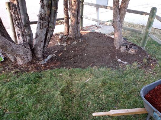 Flattened out land and trimmed trees for mulch preparation.