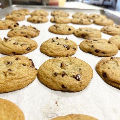 Fresh Chocolate Chip Cookie