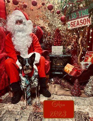 They do holiday themed photoshoot for all the pups!