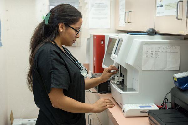 Our medical team can process your pet's blood work using our in-house lab equipment.