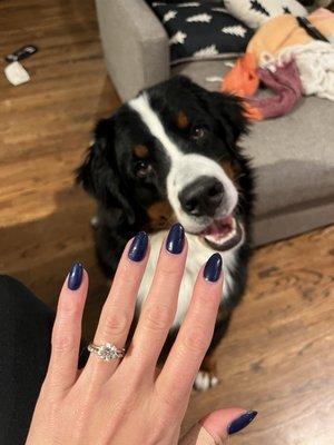 The best winter manicure!!!! Love Pearls so much :) even teddy loves it!