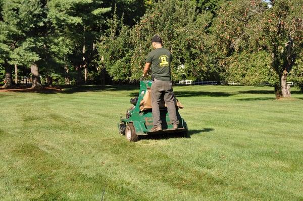 Core aerating lawn