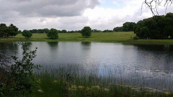 Around this lake is a 1.5 mile nature trail at Wakamatsu Farm