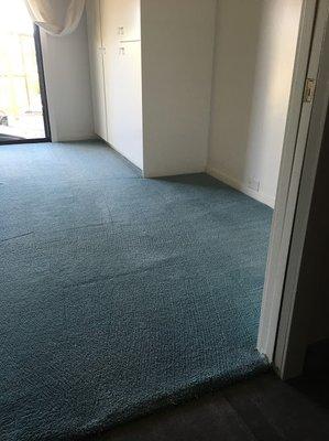 Steam carpet cleaning. Freshly clean carpet.