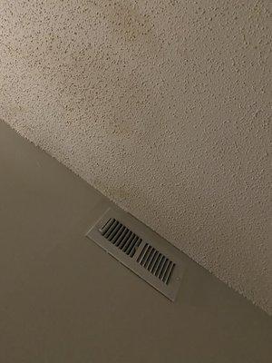 Leak and mold stains from apt above us