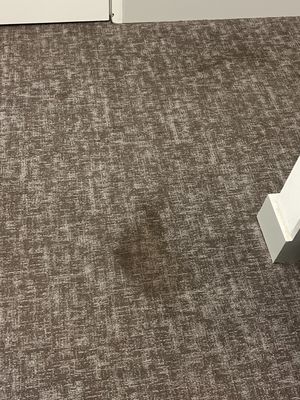 Trash stains on the floor from the elevator and trash chutes being broken