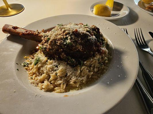 Lamb shake over orzo.