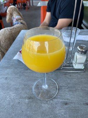 Mimosa time