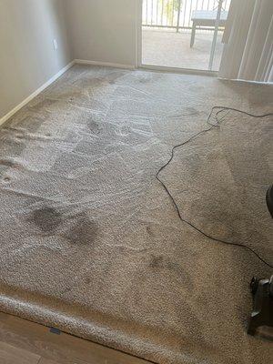 This is the before picture of my living room. It was horrible with tons of stains.