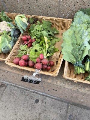 Farm to farm stand radish