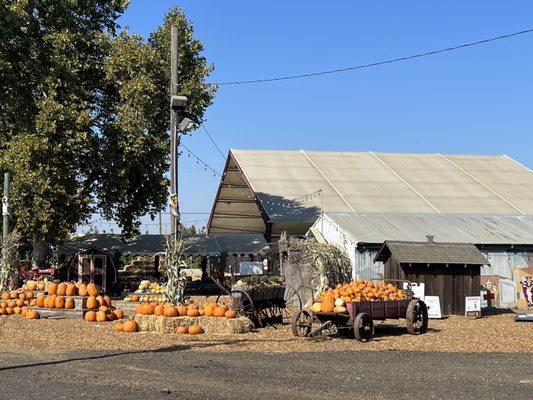 Pumpkins