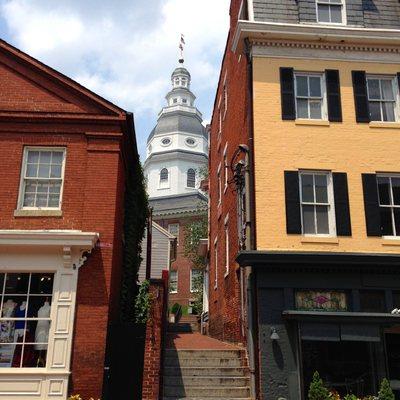 Rental properties in Annapolis with historic building in background