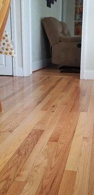 Wooden Floor Cleaning