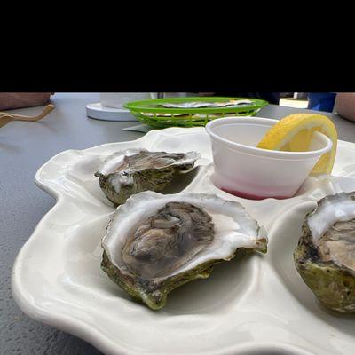 Oysters on the half shell