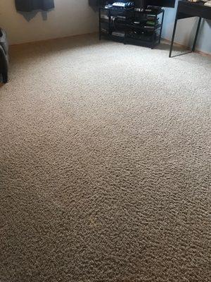 Linton's Carpet Cleaning