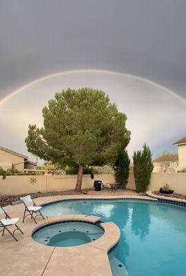 Backyard pool