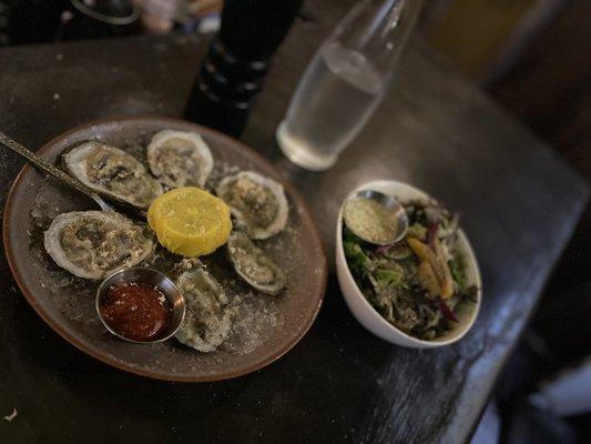 Oysters with fresh horseradish shaved on top and a house salad