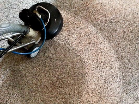 SteamPro Carpet Cleaning