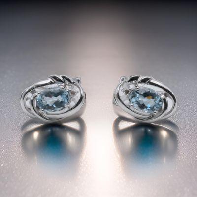 14k White Gold Aquamarine Earrings