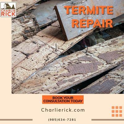 Termite Repair