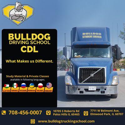 Bulldog Driving School