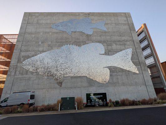 Lakes and Rivers by Stefan Sagmeister, Bentonville