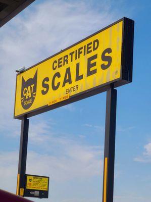 Cat Scales