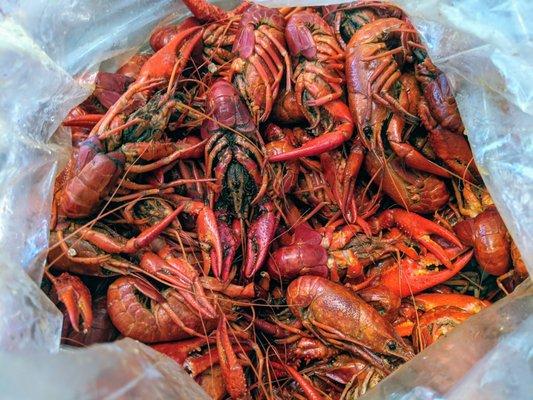 Crawfish