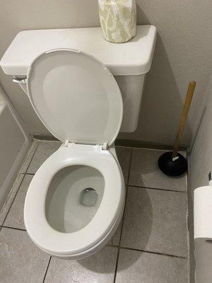 Dirty toilet seat. Plunger left for our convenience.